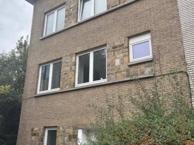 Kot vente à Jette, Bruxelles