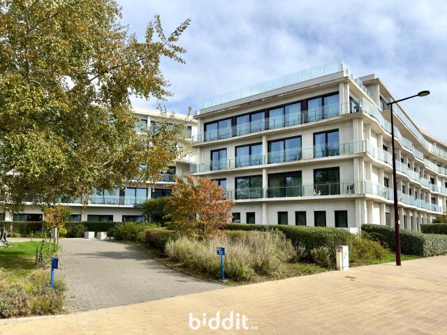 Kot vente à Le Coq, West-Vlaanderen