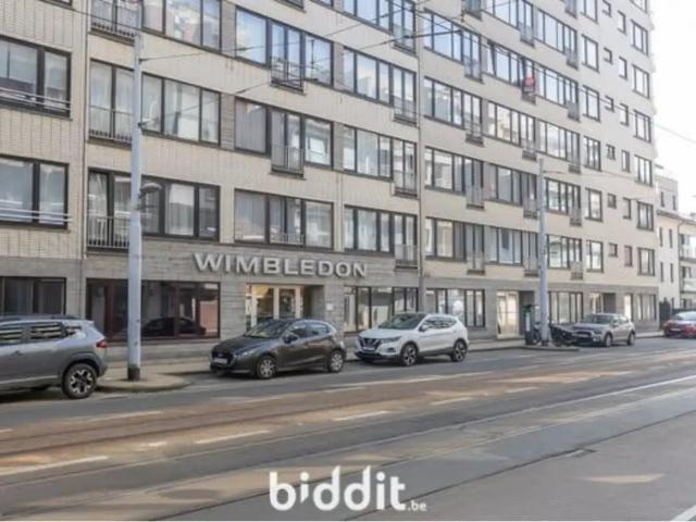 Kot vente à Middelkerke, West-Vlaanderen