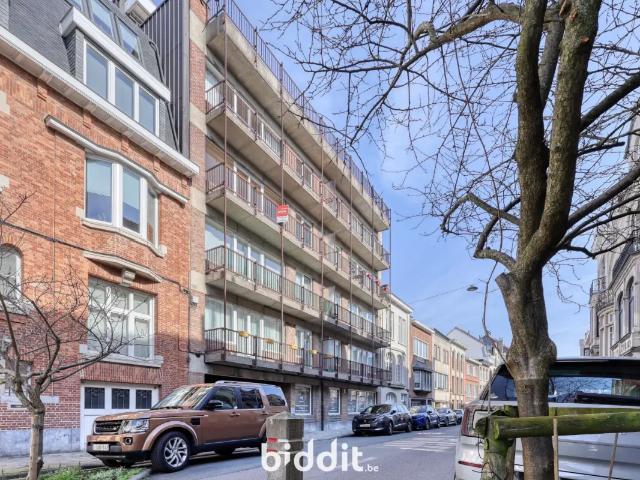 Kot vente à Schaarbeek, Bruxelles