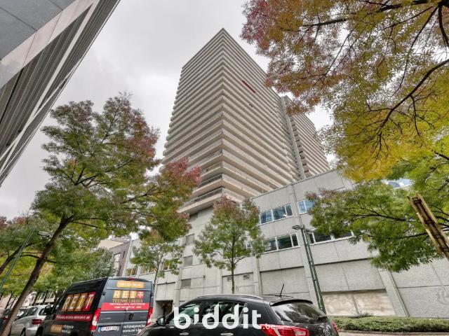 Kot vente à Schaerbeek, Bruxelles