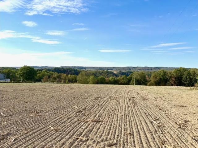 Terrain vente à Durbuy, Luxembourg