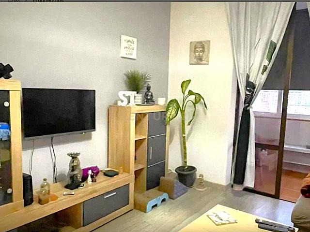 Apartamento venda em Vale de Carenque, Sintra