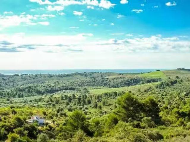 Casa en alquiler en Valencia