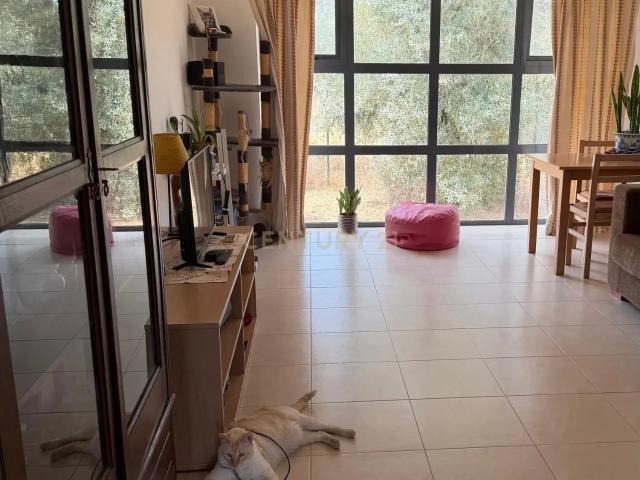 Apartamento venda em Palmela, Setúbal