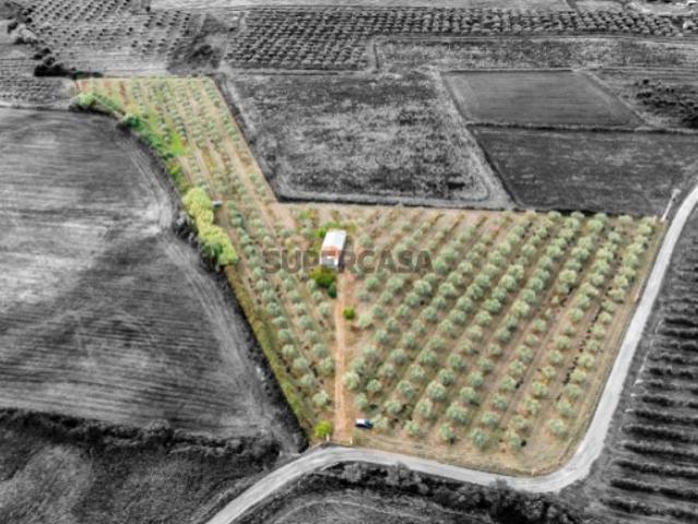 Casa venda em Sousel, Portalegre