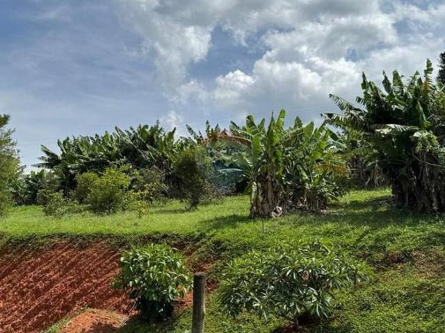 Sítio e chácara venda em Região Imediata de Bauru, Agudos
