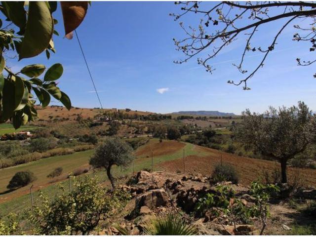 Local Comercial en venta en Pizarra