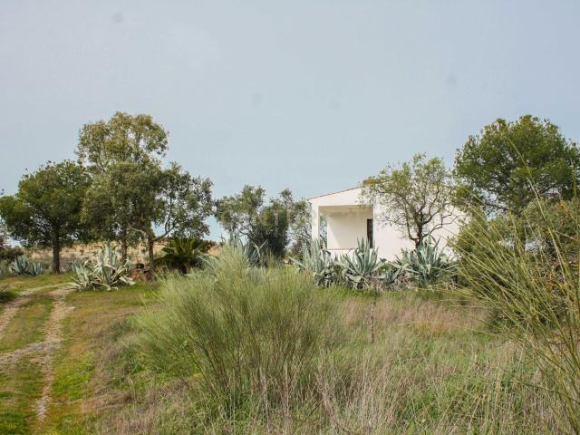 Terreno en venta en Azuaga, Extremadura