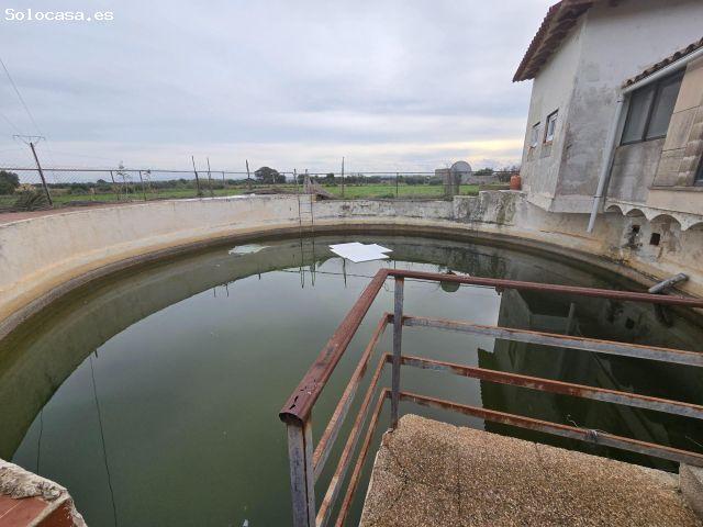Local Comercial en venta en Es Pujol, Raiguer