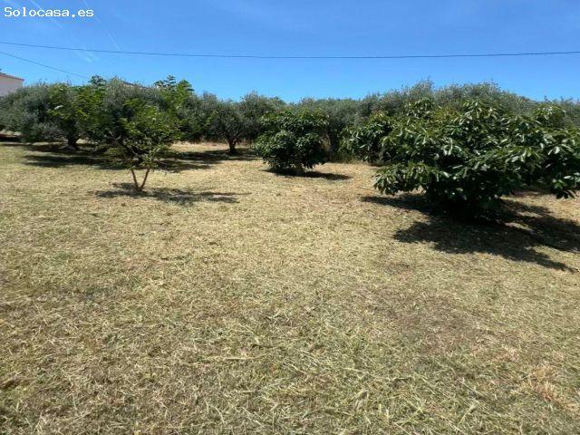 Local Comercial en venta en Campo-Mijas, Costa del Sol Occidental