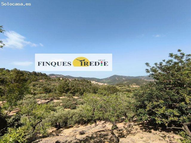 Casa en venta en Baix Ebre, Catalunya