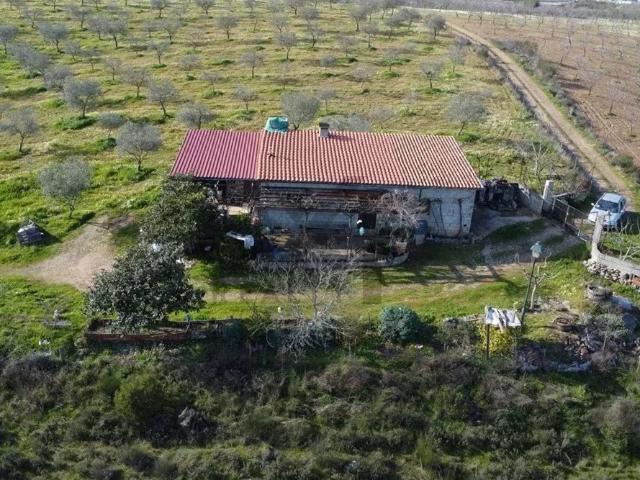 Terreno venda em Passos, Mirandela