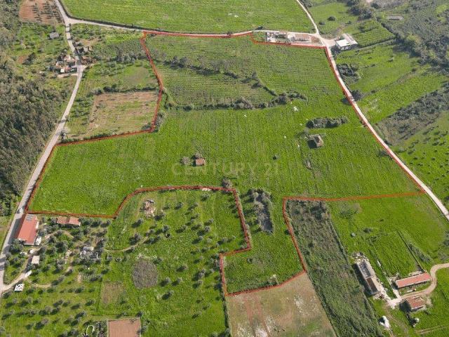 Terreno venda em Rego Da Murta, Santarém