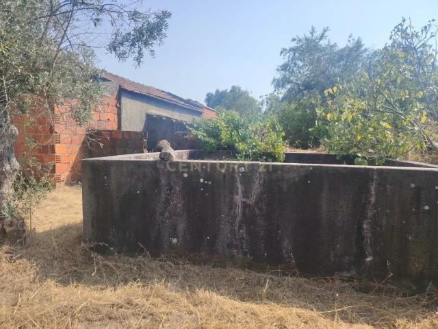 Terreno venda em Castelo Branco