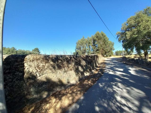 Quinta venda em Castelo Branco