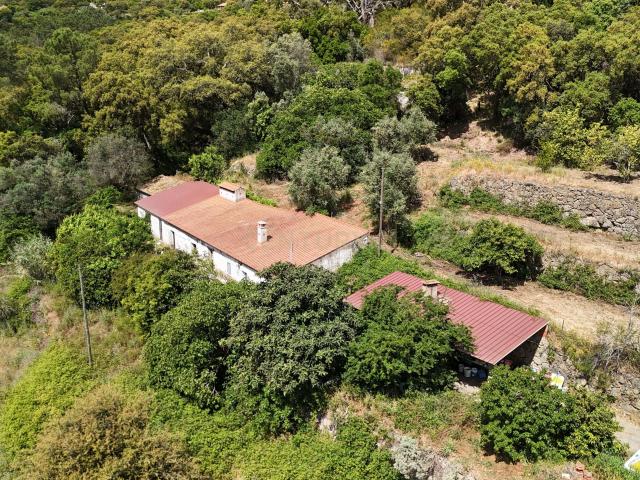 Terreno venda em Monte da Gingeira, Monchique