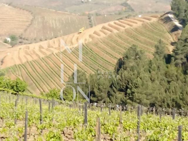 Terreno venda em Alijó, Vila Real