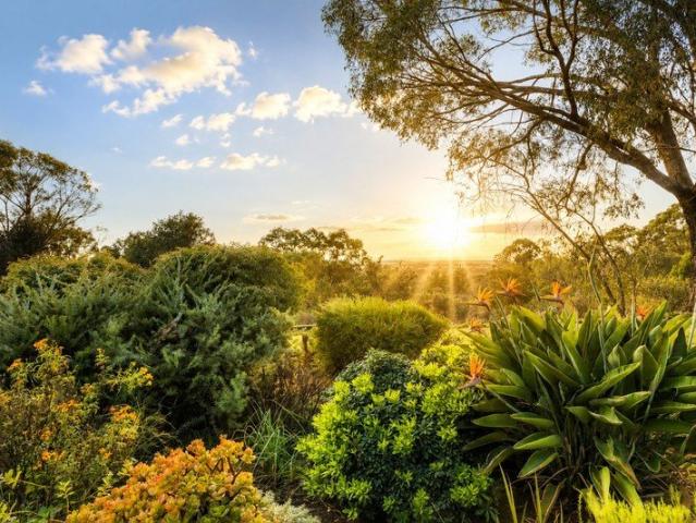 House for sale in Wellard, Western Australia