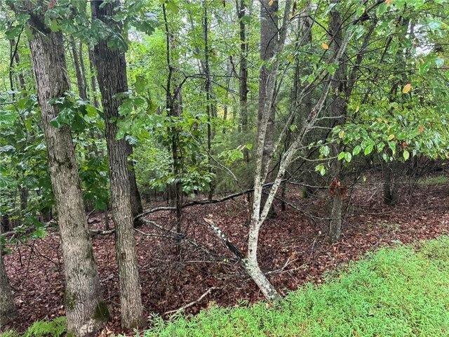 Land for sale in Blairsville, Georgia