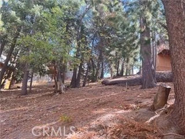 Land for sale in Green Valley Lake, California