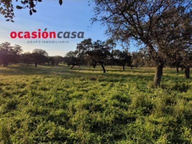 Local Comercial en venta en Pozoblanco, Andalucía