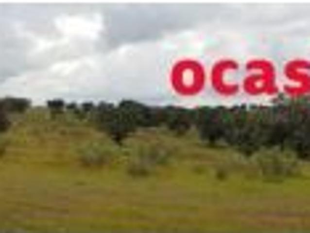 Local Comercial en venta en Torrecampo, Andalucía