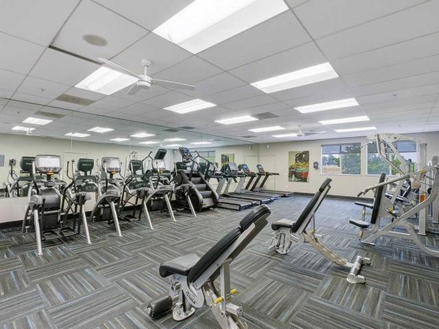 Apartment for rent in San Jose, California