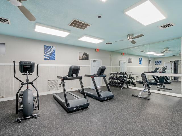 Apartment for rent in Saint Petersburg, Florida