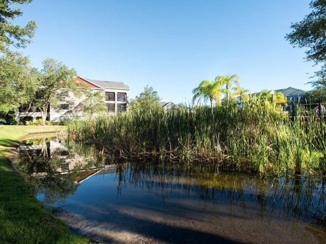 Apartment for rent in Florida