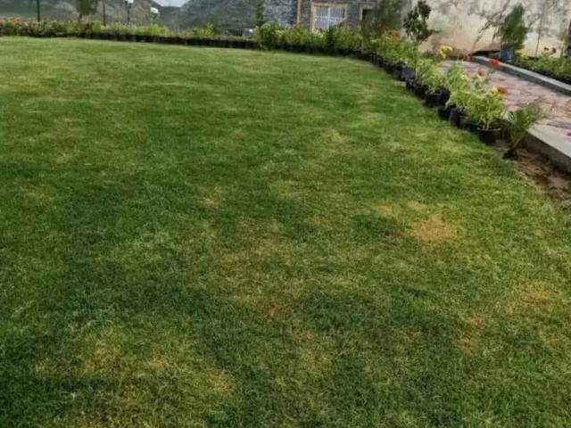 Land for sale in Peshawar, North West Frontier Province