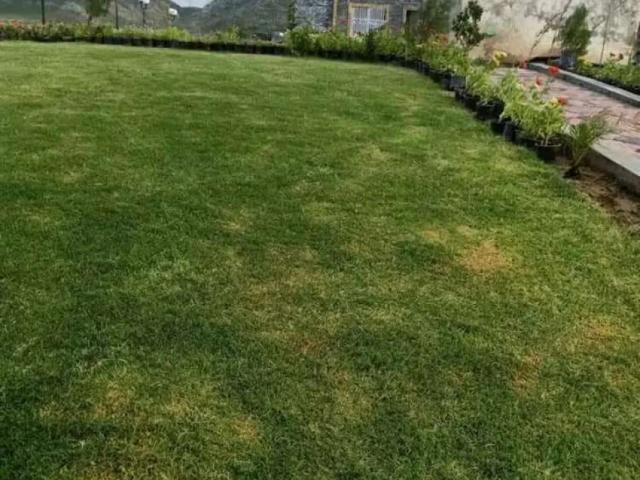 Land for sale in Peshawar, North West Frontier Province