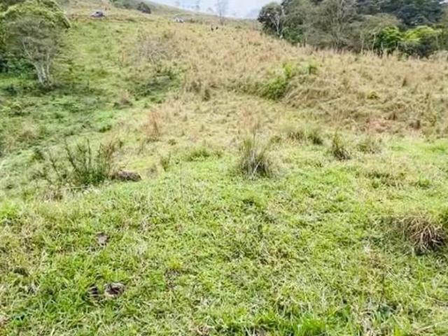 Terreno venda em Cambuí, Região Geográfica Intermediária de Pouso Alegre
