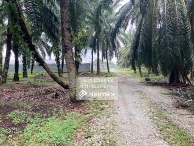 Residential House for sale in Kulai, Johor
