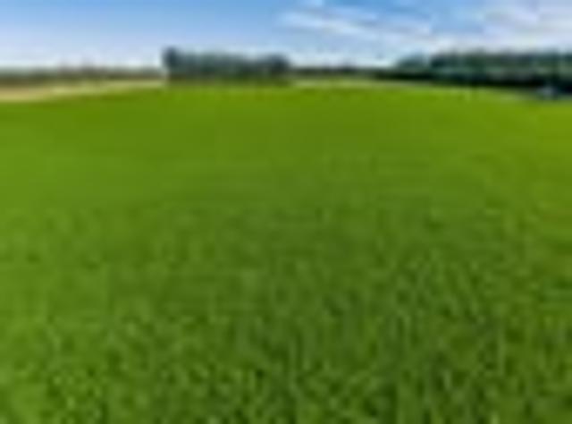 Land for sale in Chertsey, Canterbury