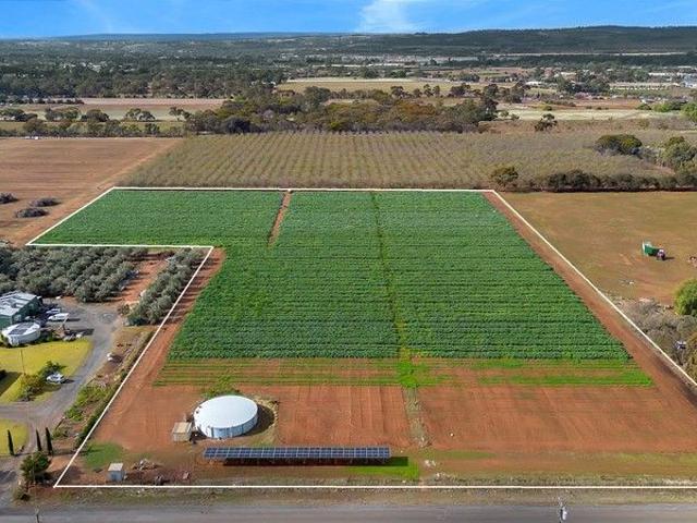 Land for sale in Horseshoe Creek, South Australia
