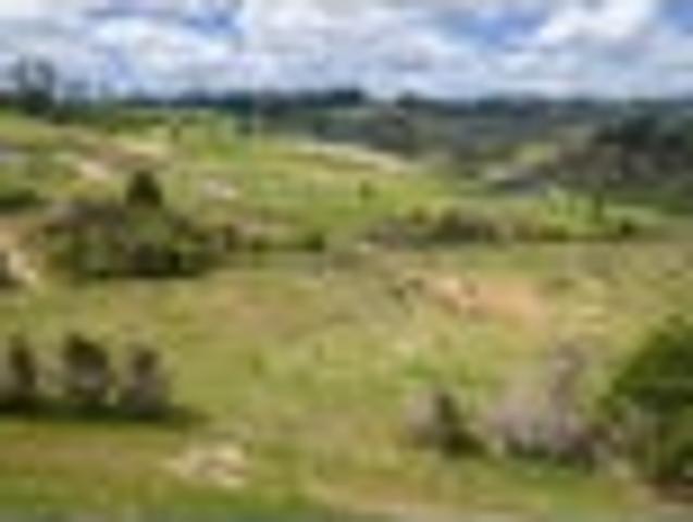 Land for sale in Karetu, Northland