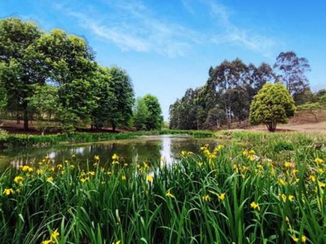 Farm for sale in Umgungundlovu, Kwazulu-natal