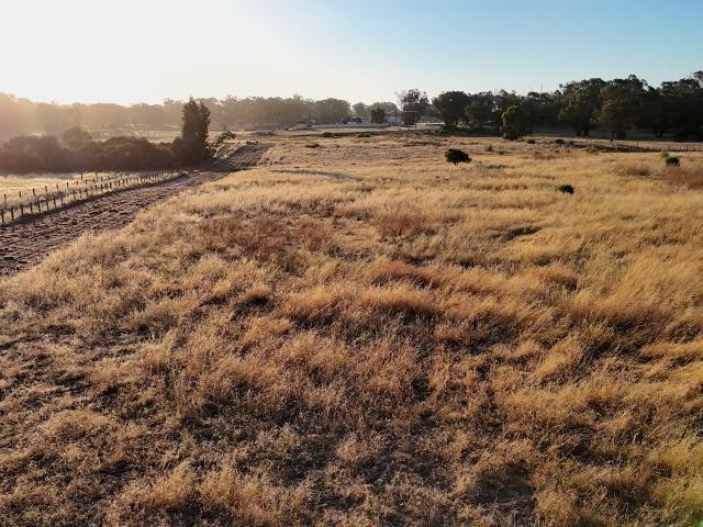 Property for sale in Carabooda, Western Australia