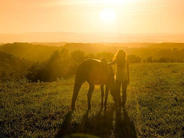 Land for sale in Bungendore, New South Wales