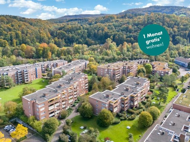 Wohnung mieten in Münchenstein