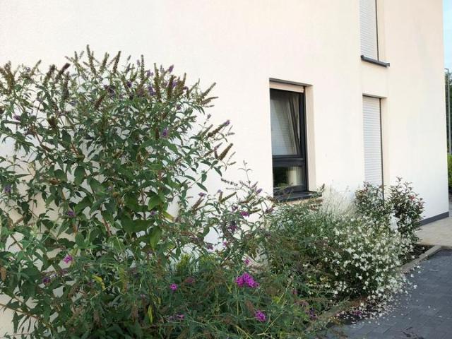 Haus kaufen in Hochheide, Duisburg