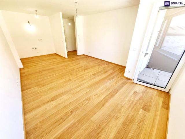 Wohnung kaufen in Liesing, Wien