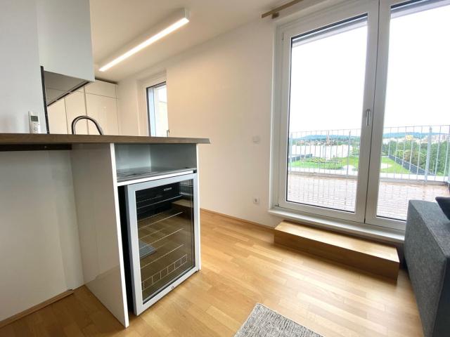 Wohnung mieten in Seestadt, Wien