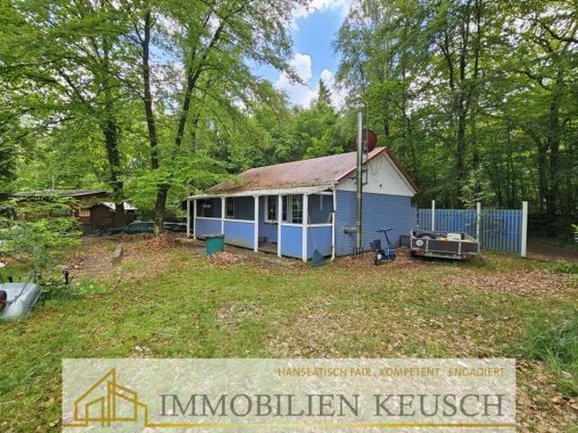 Haus kaufen in Martfeld, Niedersachsen