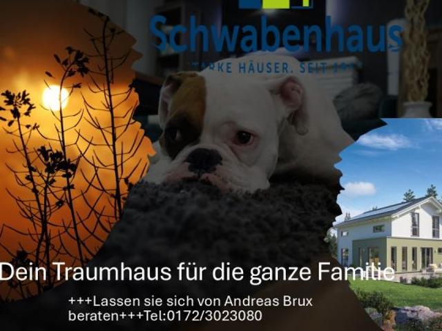 Haus kaufen in Möckern, Sachsen-Anhalt