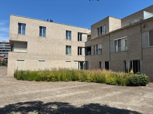 Appartement location à Tienen, Brabant