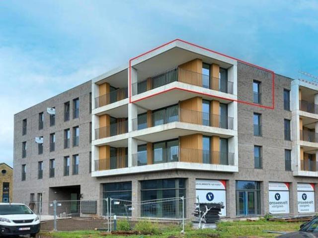 Kot location à Geel, Antwerpen