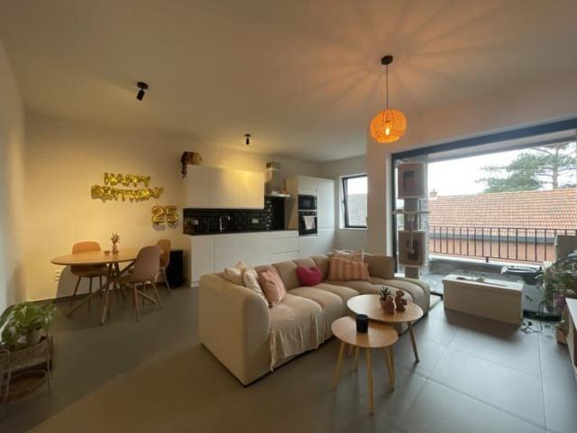 Kot location à Beveren-waes, Oost-Vlaanderen