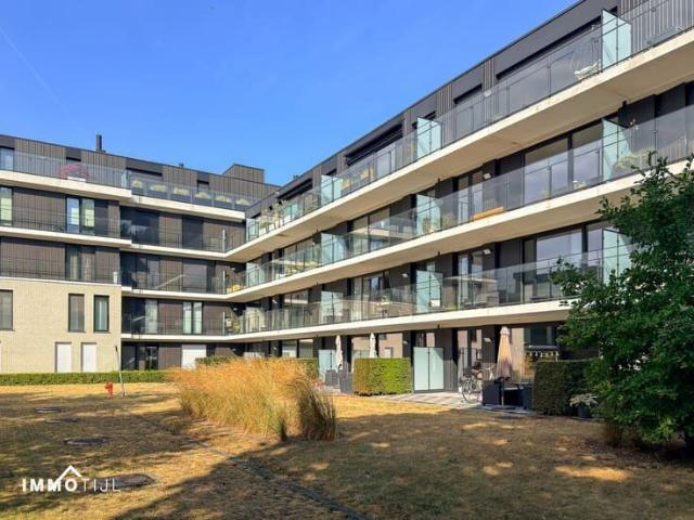 Kot location à Aalst, Oost-Vlaanderen